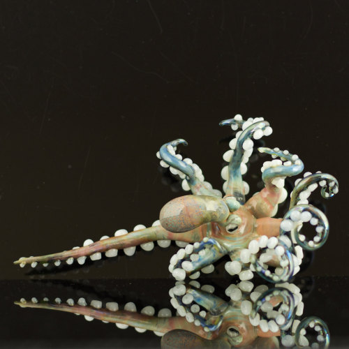 Porn photo sosuperawesome:  Octopi pens, terrariums,