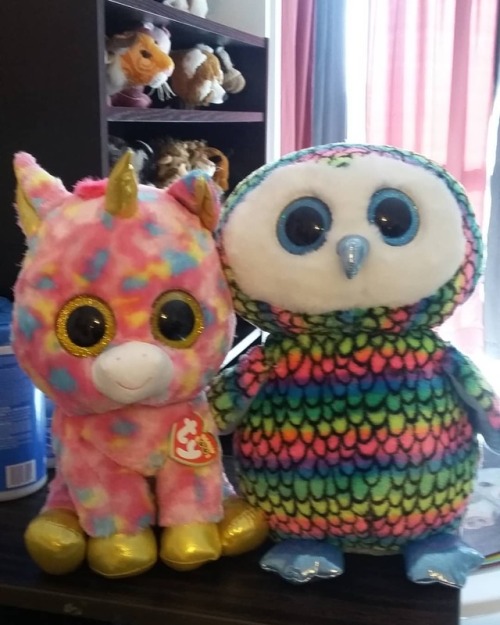 My 2 newest girls that I bought myself a couple weeks ago at &ldquo;Claire&rsquo;s&rdquo