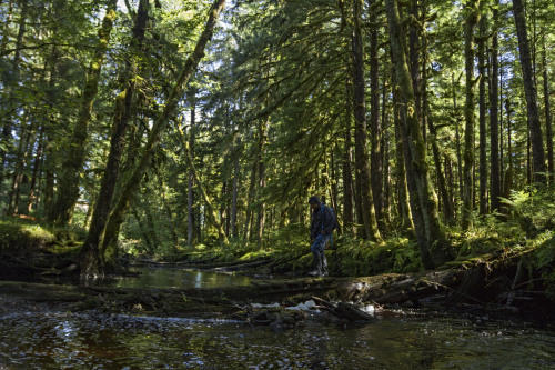 Ooona River is a small community living on Porcher Island on BC’s north coast. The river here was al