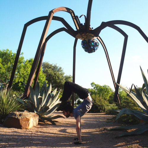 Handstand Scorpion :  Battle between a Scorpion and a Spider. Model : Adrian HummellPhoto by : Amand