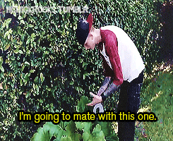hchickrocks:  Kells becomes one with a leaf…like Avatar. 