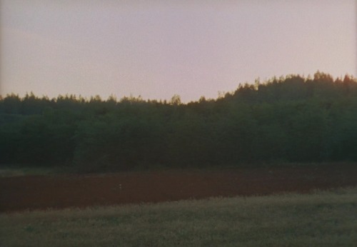 jenniferjasonleighs:  The Mirror (1975, Andrei Tarkovsky)