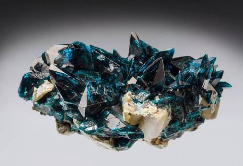 geologyin-blog: Outstanding Veszelyite crystals from Black Pine Mine, Montana. Credit: Thomas Spann 