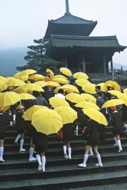 thesoulfunkybrother:  Japan. School children with umbrellas visiting a temple. 1977. 