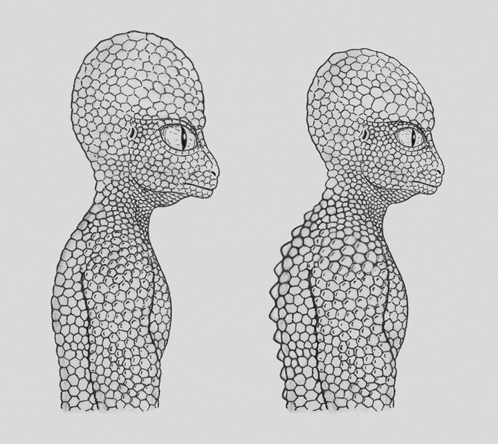 larger-universe:Some pages out of the book ” A Visual Guide to Alien Beings”