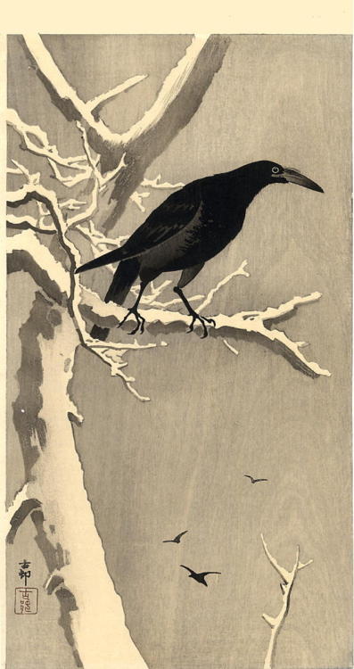 artemisdreaming: Jungle Crow, 1910   Ohara Shoson