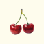 cherrygirll26