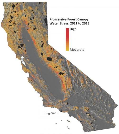 Speaking for the TreesEarlier in the month, I wrote a post about the beautiful Muir Woods just north