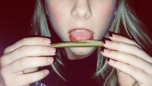 bless-this-little-mess:  Roll em