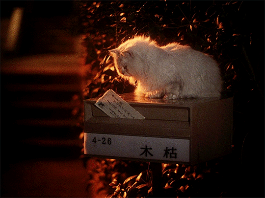 myellenficent:  Hausu (1977) Dir. Nobuhiko Obayashi