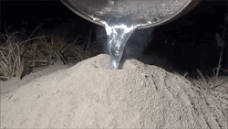 batter-sempai:  transientday:  lohkir:  fencehopping:  Casting a fire ant colony with molten aluminum  Not saying that killing ants just because it’s cool. But hey.  I’ve seen this post and the original video before. That ant colony belongs to an