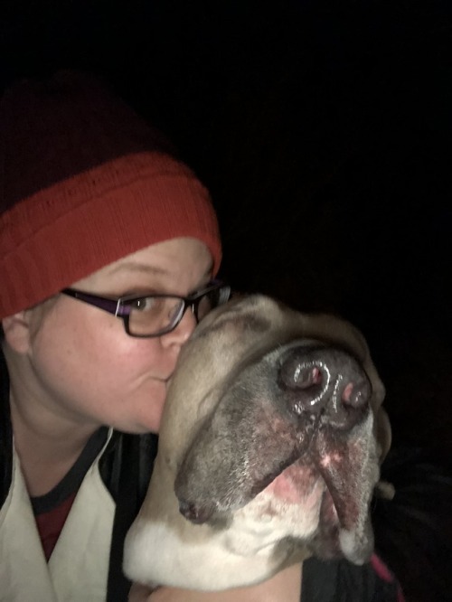 brutusthewonderdog: Extra kisses and treats for this smart boy tonight! Brutus is a creature of habi