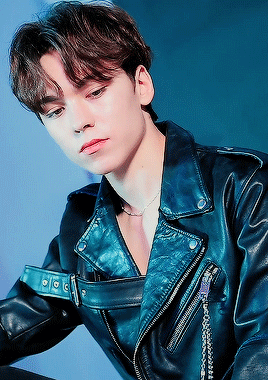 hanwooz:beauty has six letters and so does vernon