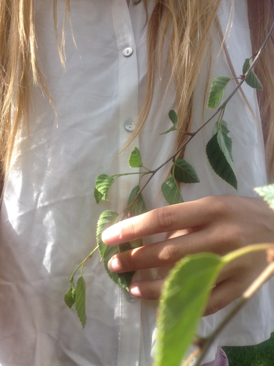 slheepy:  wrinkles in my shirt, wrinkles in my hands, wrinkles in the leaves 