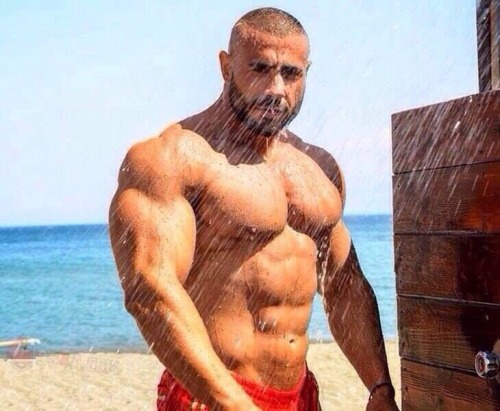 Scruffy Muscle