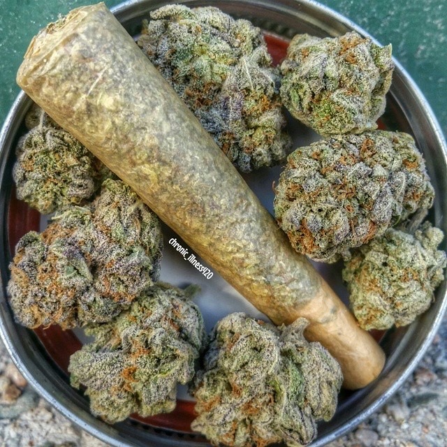 takesomehits:  by chronic_illness420