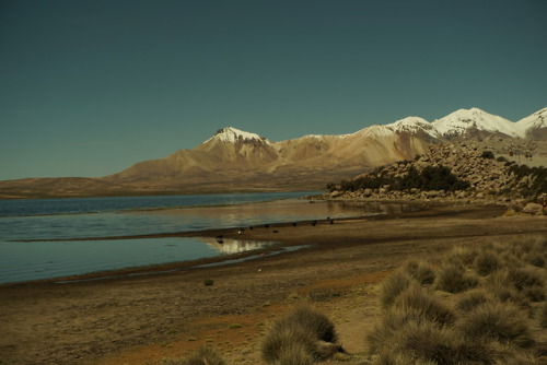 Lago Chungará, Arica-Parinacota - Chile (Abril, 2018) Lake Chungará, Arica-Parinacota - Chile (April