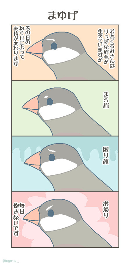 おもしろい なんだか