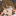 cometscrater:cometscrater:reading a textbook for class and i’m going insane. why