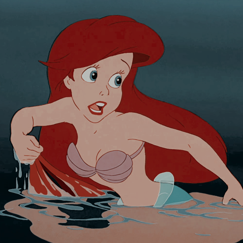 disneypsd