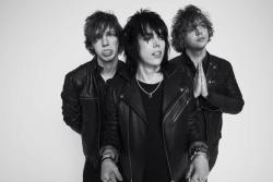 everybody wants the struts