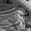 faraway-landd