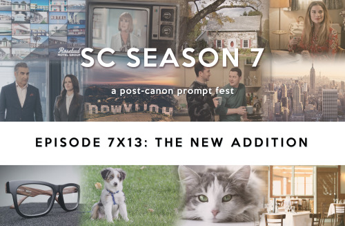 Episode 7x13: The New Addition* * * * * * *Ready, Set… Ready, Set—Patrick/David, David & 