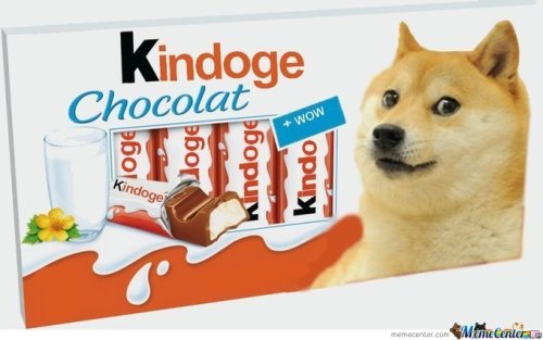 suchdogewow:  such chocolate. so delicious. much creamy. wow. 