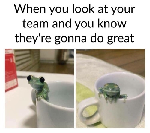 an actual lizard