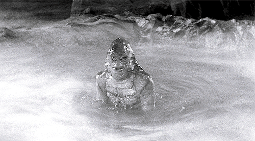 georgeromeros: Creature from the Black Lagoon (1954) dir. Jack Arnold