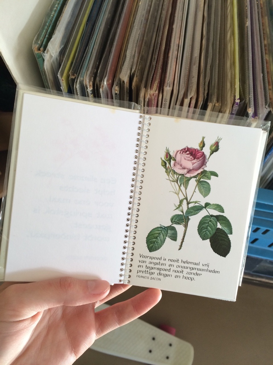 moonchjld:  lucy(sxmmery) found a van gogh book at a vintage store &amp; i just