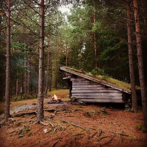 heidruna:Been spending the night out in the forest#norway #forest #camping #hiking #utpåtur #cozy