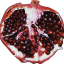 graphic-grenadine
