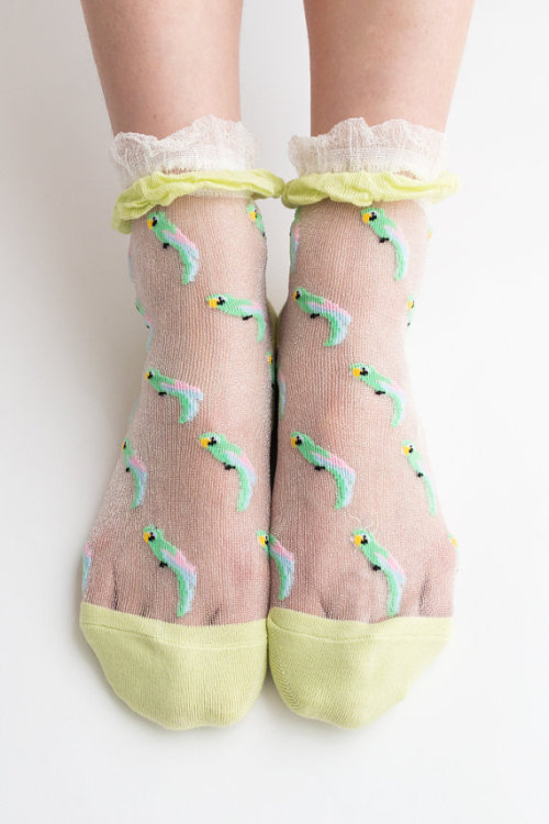 littlealienproducts:  parrot socks 