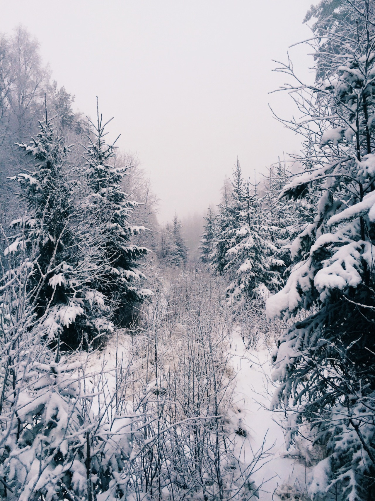 danielodowd:  EIRIK EVENRUD