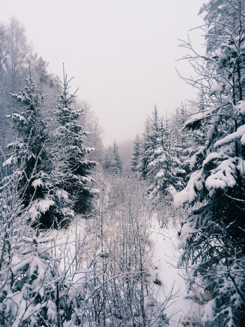 danielodowd:  EIRIK EVENRUD