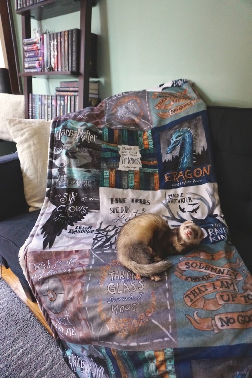 the-book-ferret: Happy Little Book Ferret on his little Book Blanket