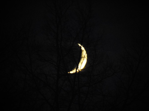sweetseducingsighs:  The moon tonight, July 1st, 2014 by Allie 