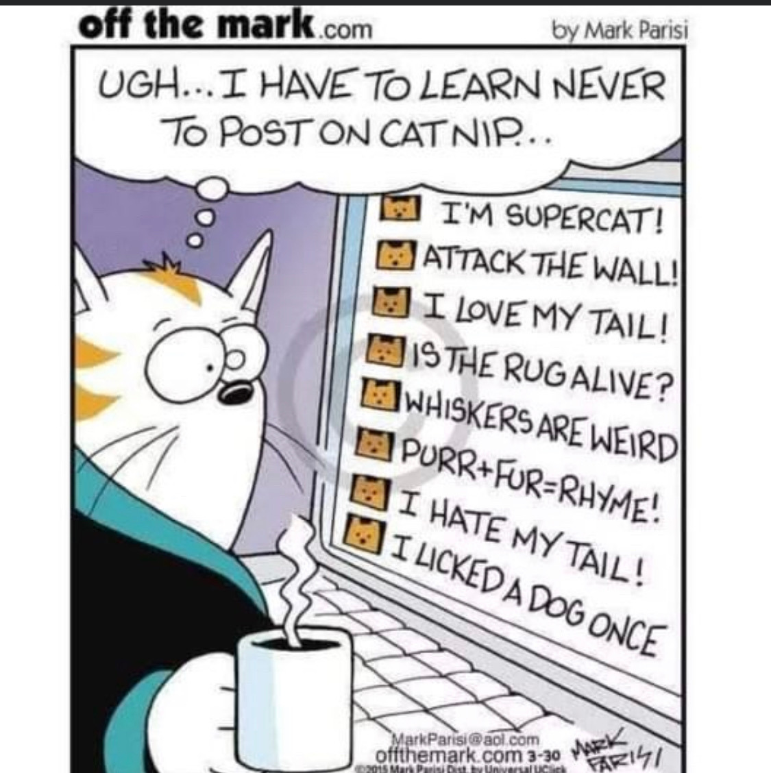 Cat Humor #9