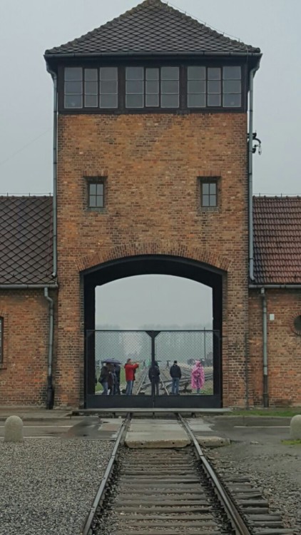 Auschwitz, Oświecim, Poland adult photos