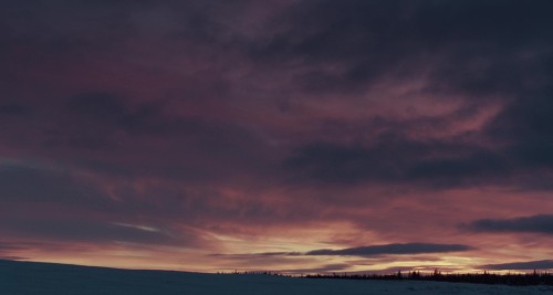 Maudie, 2016, Aisling Walsh