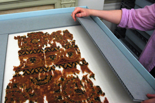 It’s a wrap!
Textile Museum staff have concluded a monumental initiative to survey our collections in preparation for the museum’s 2014 move to the George Washington University—finishing up with this intricate seventh- to eighth-century textile...