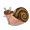 snad (snail dad)