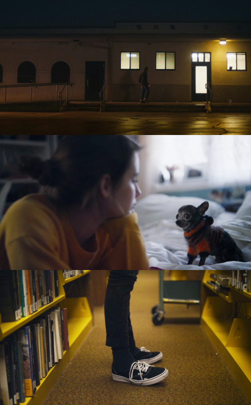 Films Seen In 2015 // Cinematography
