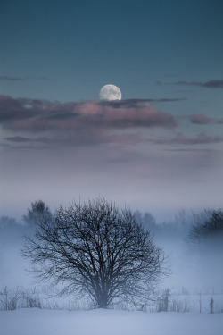 forbiddenforrest:  Moon by Torehegg on Flickr.