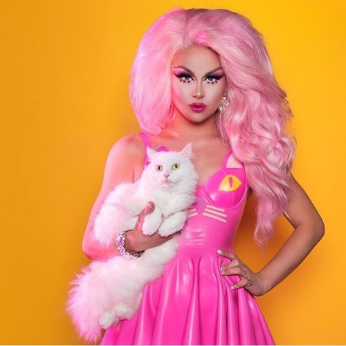 #Repost @vicovelezphotography  ・・・ ✨pussy power✨ @farrahrized wearing @janedoelatex and @wigsandgrac