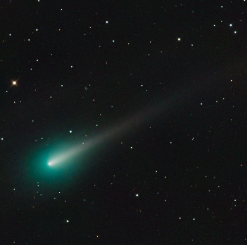 utcjonesobservatory: Comet ISON Right Now Here is what comet ISON looked like this morning through t