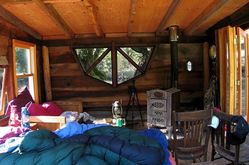 extraterrestrialhitchhiker:  sheltershelter:  riddick09:  񘈨 basic tiny house Off Grid Tiny House Deep In The Carolina Woods Built For 񘈨 – Built from recycled and reclaimed wood. Complete with solar power, natural water source, and a wood stove.