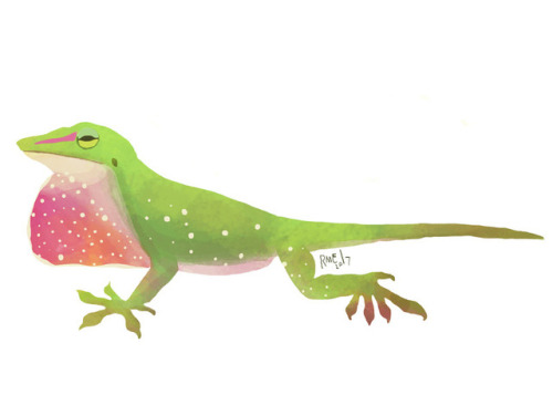 ribbitingrobots: I’ve started doing daily-ish quick studies of different reptiles! I’ve 