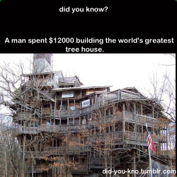 did-you-kno:  Source  �?! That&rsquo;s it?! Most houses nowadays cost 贄,000 minimum, and that&rsquo;s for a shitty one bedroom house! I must make one of these!